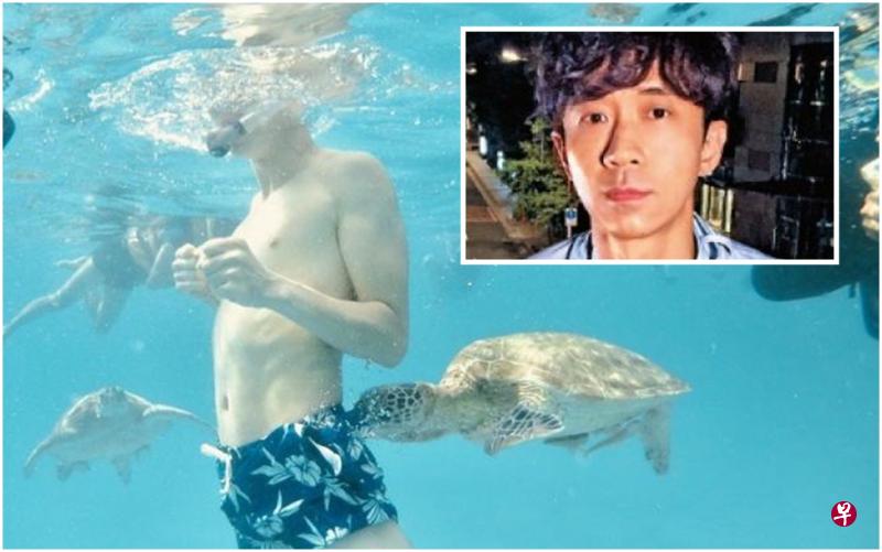 光良去热浪岛潜水被海龟咬屁股。（互联网）