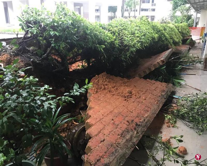 红砖墙坍塌，现场一片狼藉。