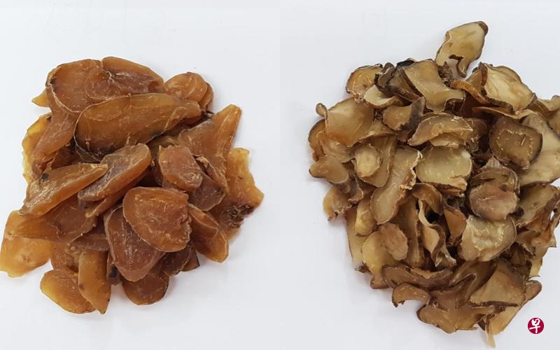 白附子（左）和白附片因相似的名字和外形而容易被混淆，但却是完全不同的药材。（新加坡中药公会提供）