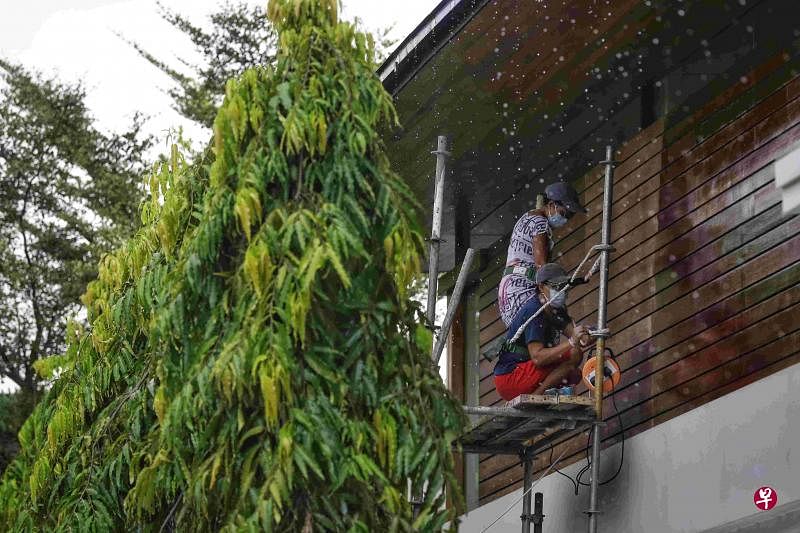 潘薇洛的两名女佣站在自己搭建的鹰架上，为木墙打磨、上清漆和油漆。（档案照片）