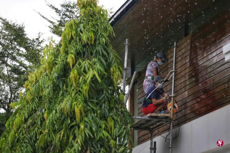 潘丽蓉的两名女佣站在自己搭建的鹰架上，为木墙打磨、上清漆和油漆。（档案照片）