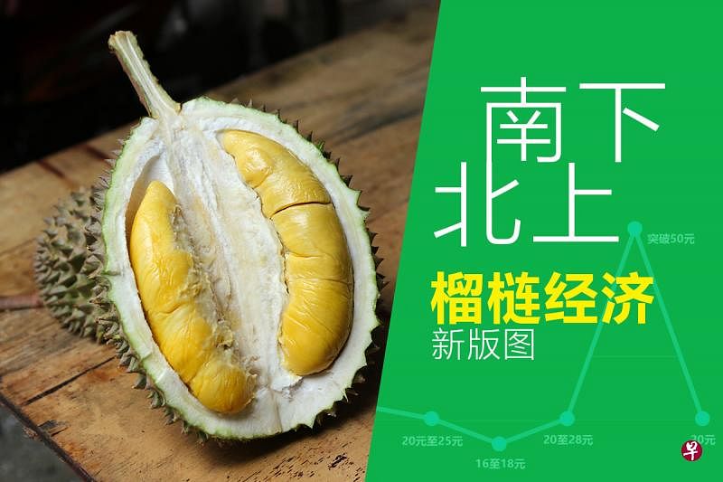 《榴梿飘香传万里 黄金果肉值千金》网络特制截图。（洪惠贞设计）