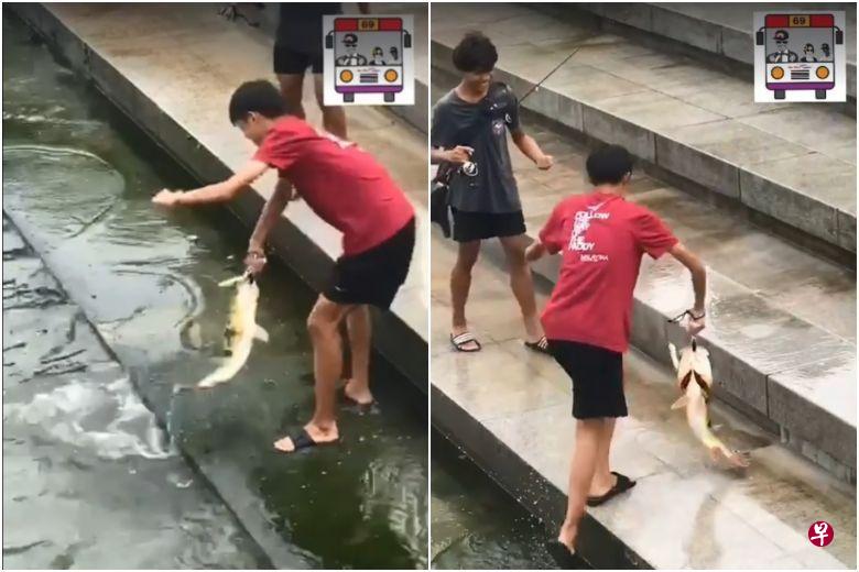 身穿红色上衣、短裤和拖鞋的少年，整个人踩进水里，用铁钩一把将一条大鱼钩起。（取自面簿）