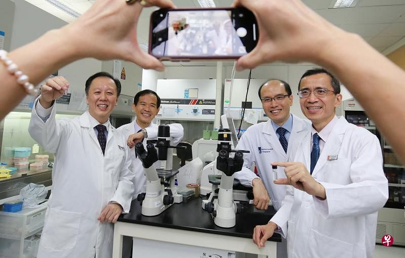 获得总统科学奖、培植了全球首个迷你中脑的团队成员：国大杨潞龄医学院生理学系主管林嘉隆副教授（左起）、国立脑神经医学院神经内科高级顾问医生陈秋生副教授、新加坡科技研究局的新加坡基因研究院院长黄学晖教授，以及国立脑神经医学院脑神经内科高级顾问医生陈永庆教授。（梁麒麟摄）