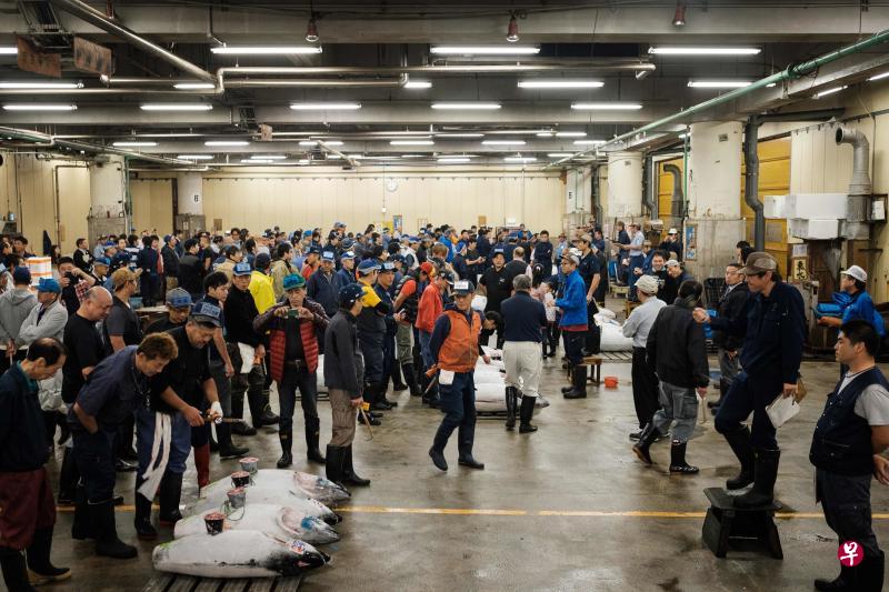 在最后一天的拍卖活动中，一尾162公斤重金枪鱼以438万5000日元成交价，为筑地鱼市场的营业画上句点。（法新社）