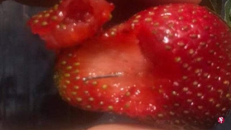 新西兰发现内含缝纫针的草莓。（互联网）