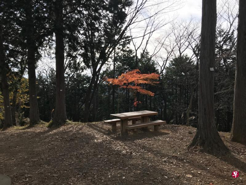 东京近郊御岳山（Mitakesan）见晴台，2018年秋。（赵琬仪摄影）