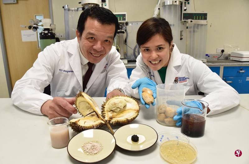 南大食品科技教育计划主任陈维宁教授（左）和研究人员李洁玲成功从榴梿种子研发出能作为食品稳定剂的食物胶（中间黑色物体）。（特约伍书永摄）