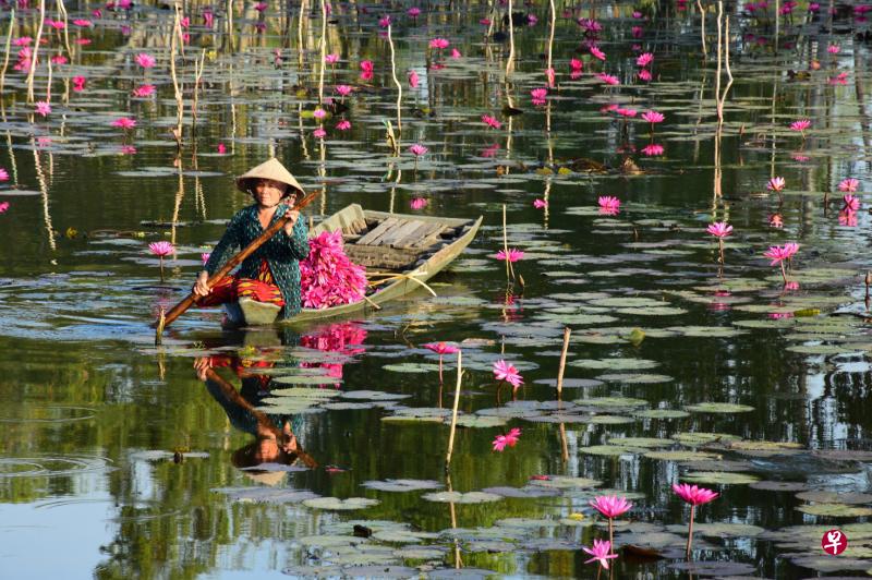 清晨的荷花池，人影、水光、小舟、色彩构成一幅美图。（李选楼摄）