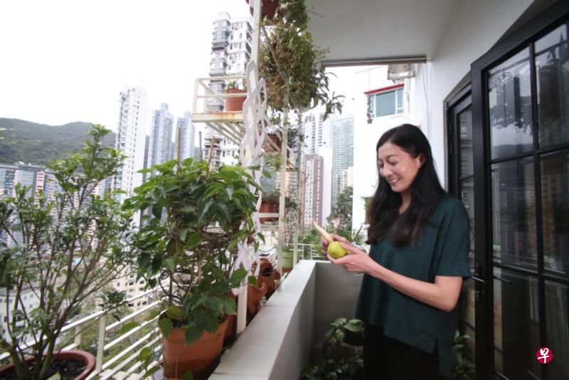 吴绮莉两年前开始在家中露台种植，可以吃到自己的农作物，更重新了解生命的价值。（明报周刊）