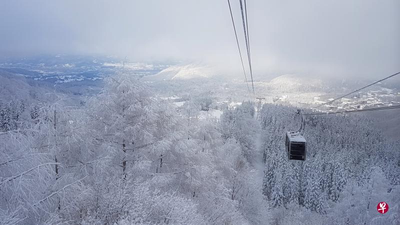 藏王山以宜人的冬季风景成为日本人爱去的滑雪场 。