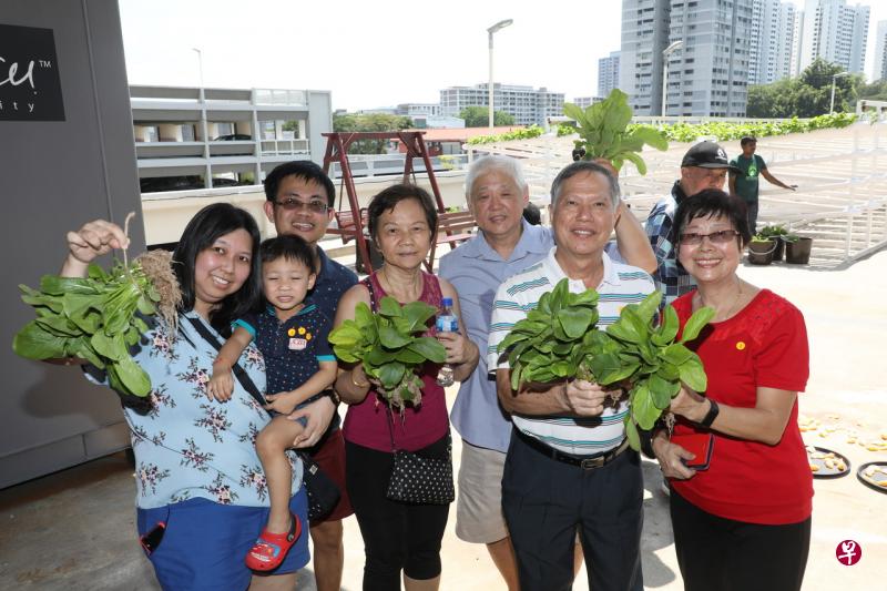 杨厝港居民前来参观城市农场，并把新鲜蔬菜带回家烹煮。（邝启聪摄） 