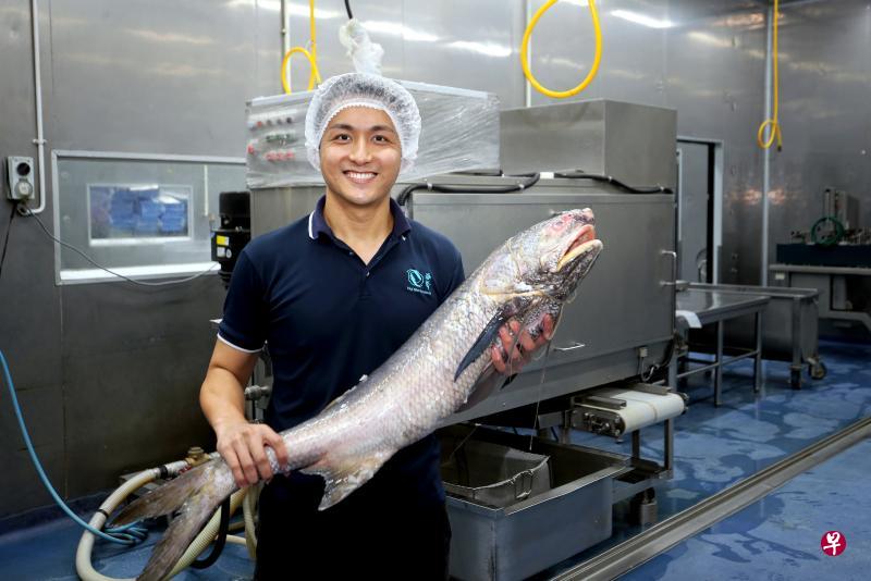 洪俊廷加入海声渔业后，也推动家族企业采用科技，例如采购刮除鱼鳞和切割的机器，以及加入电子商务平台。（严宣融摄）