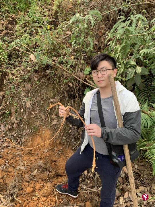 除了中医药的学习，食疗调理的学习也必不可少。图为学中医的新加坡留学生袁梓朗在挖五指毛桃。（曾实 摄）