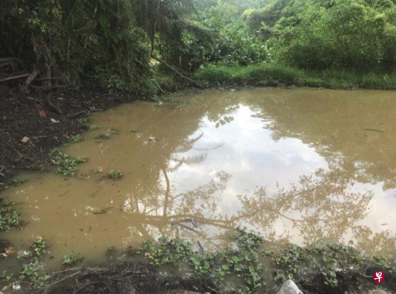 财裕建筑公司在裕廊路工地里挖掘的水池只达规定尺寸的22分之一。（公用局提供）