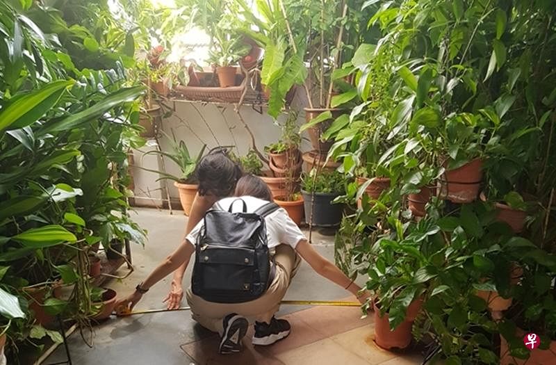 妇女拿量尺测量宽度，坚称没有违例。（徐颖荃摄）