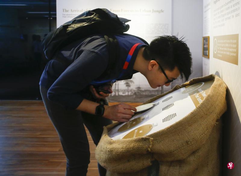 闻一闻，猜一猜，访客可在展览所设的互动站认识19世纪福康宁公园种植的香料。（林琬清摄）