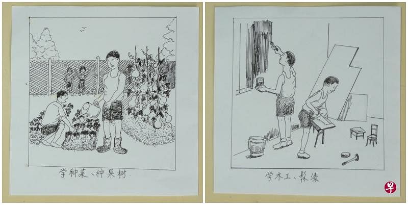 （作者提供）