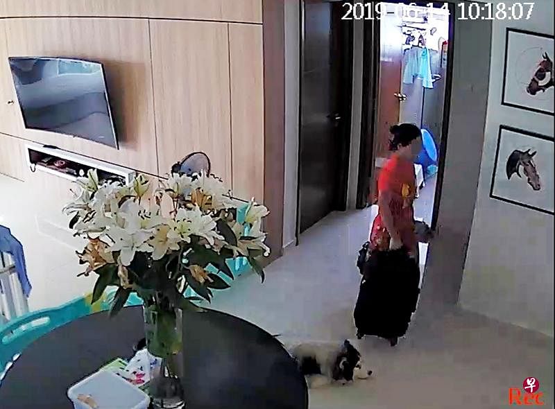 雇主出示女佣趁家中无人拖行李离开的画面。（受访者提供）