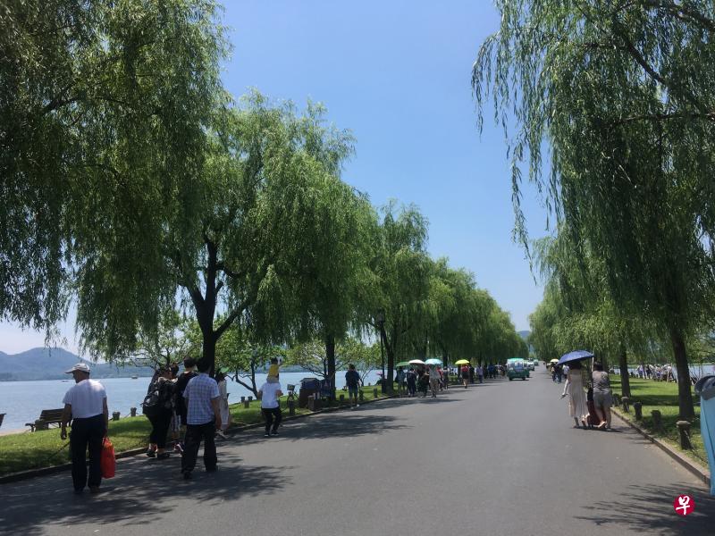 绿荫大道