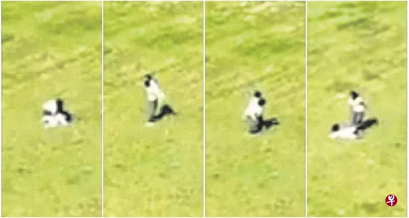 女佣两次将小主人抛落草地，被人拍下视频。（取自面簿）