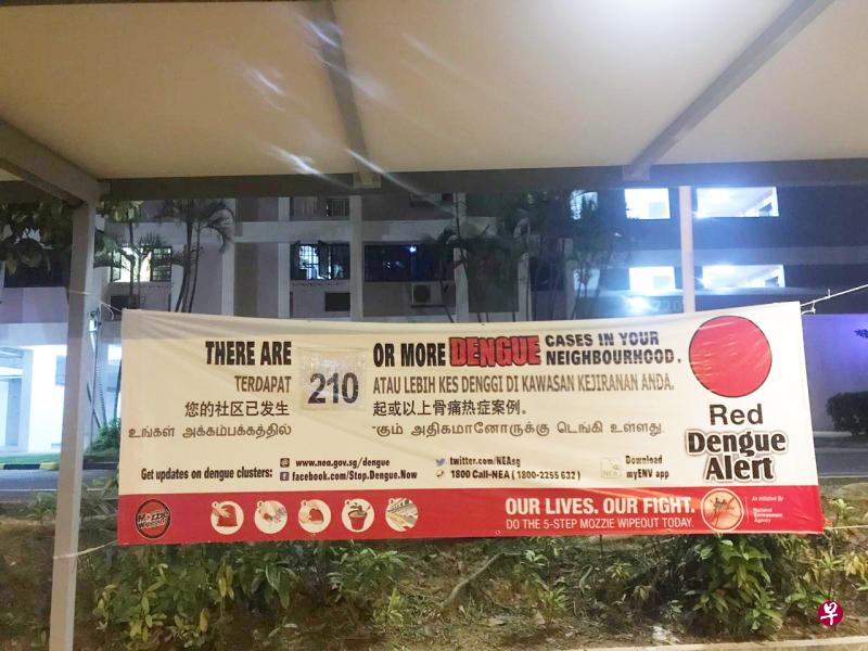 伊蚊增加、人口免疫力下降和天气变暖，是导致今年骨痛热症病例数量增加的三大因素。（档案照） 