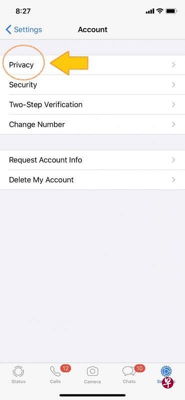  ① 进入WhatsApp设置，选择Account（账户），点击Privacy（隐私）。（互联网）