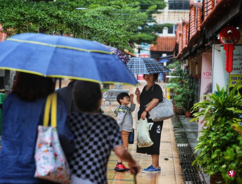 　新加坡年底吹东北风，雨带飘过岛国上方，本月首两周的降雨量预计会比较高。（严宣融摄）