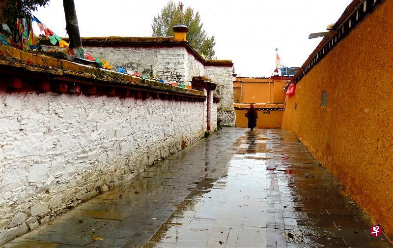 充满藏区风味的仁康百年古街。（彭飞摄）