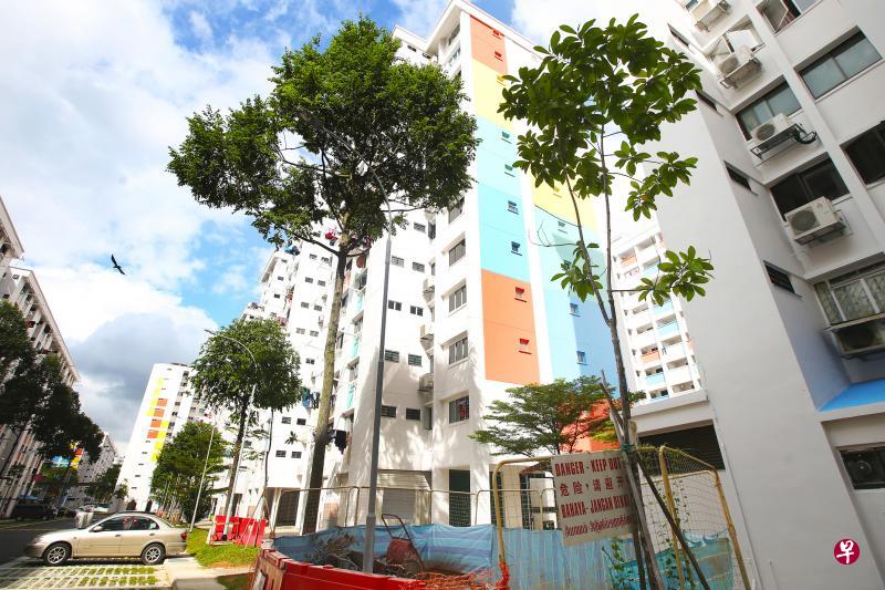义顺71街的几座组屋每天傍晚就会出现大批爪哇八哥回巢，造成大量噪音，但在替换树木后，情况已有所改善。（梁伟康摄）