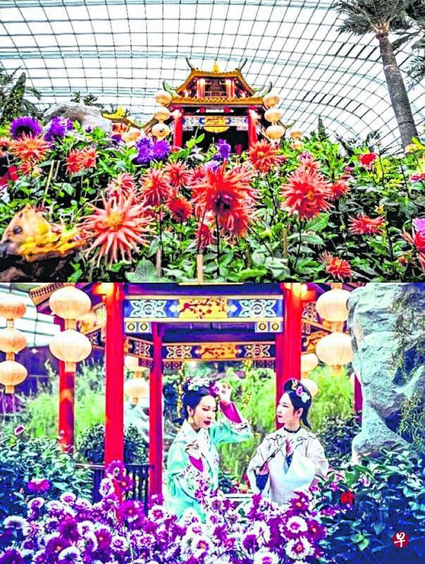 大丽花之梦“花卉展”。