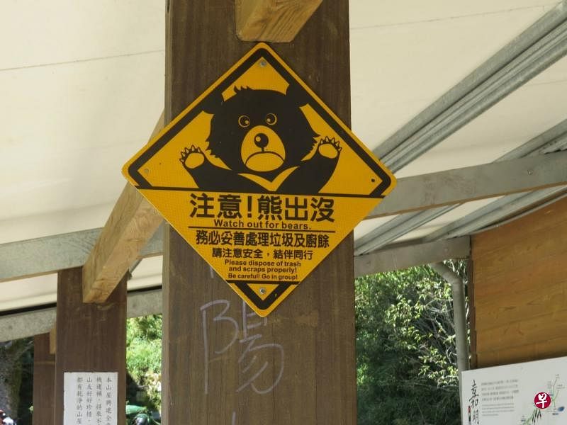 高山上有熊出没，见怪不怪。（蔡依桃摄）