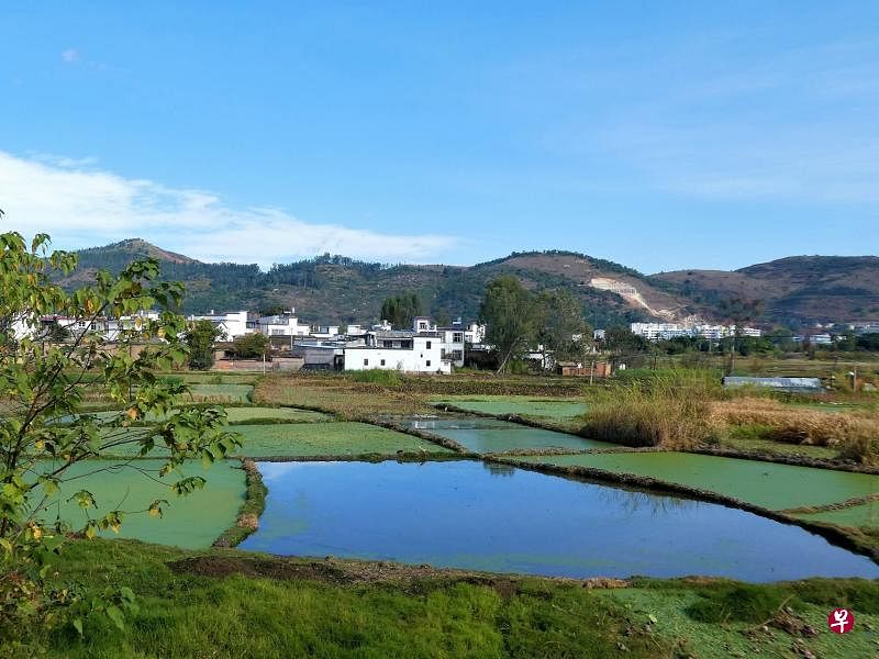 建水百年米轨小火车沿线风光。（莫美颜摄）