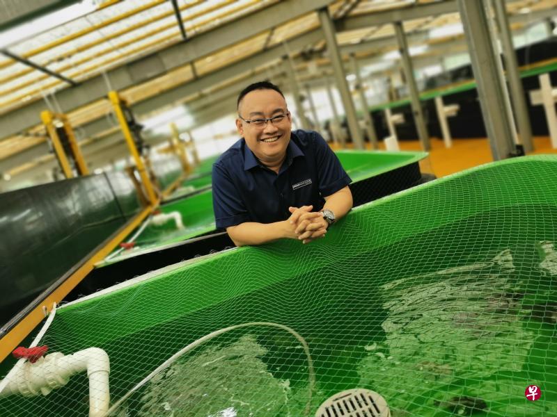 阿波罗集团第二代掌舵人黄伟杰展示全球首个现代自动化垂直海产养殖场。
