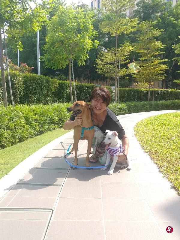 安妮塔（Anita Blaise Paul）负责照顾上百只狗狗的起居，包括带它们去散步，给它们做饭等，因此身体锻炼得十分结实。（受访者提供）