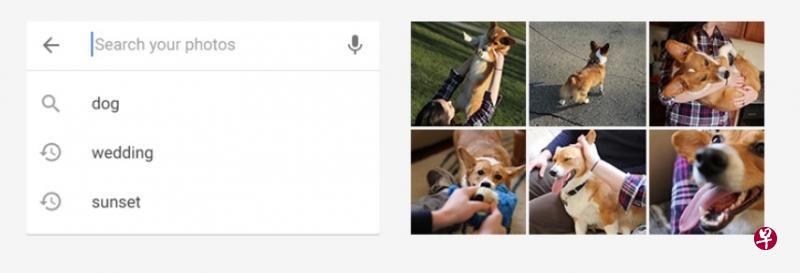 Google Photos：用户可按照关键词检索照片。（互联网）