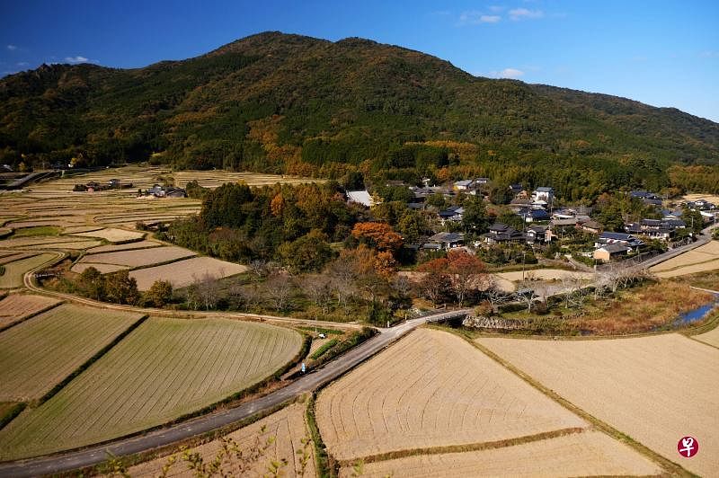 国东乡野美景。这幅画面，据说千年不变。