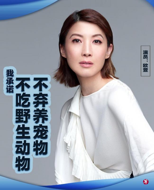 除了担任“战疫宣传大使”，欧萱也响应“不吃野生动物，不弃养动物”活动。（互联网）