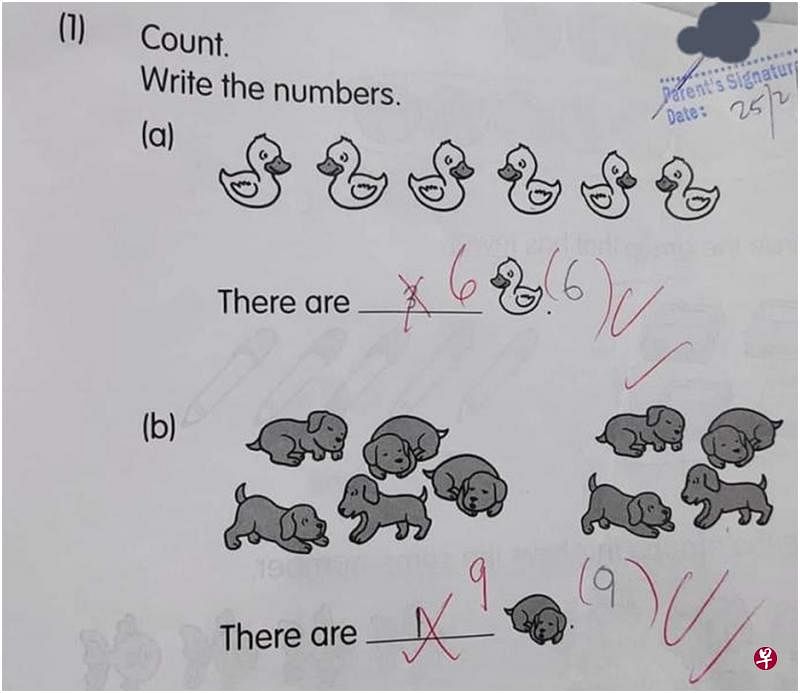 陈思颖将小学一年级侄女的数学题放上网，引起网民热烈讨论。（取自面簿）