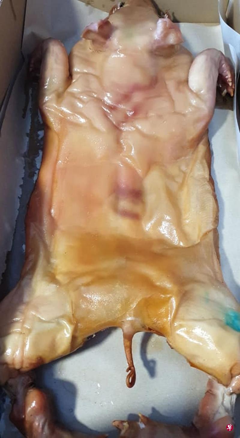买回家的烤乳猪颜色太苍白，女子因此怀疑乳猪没烤熟。（互联网）