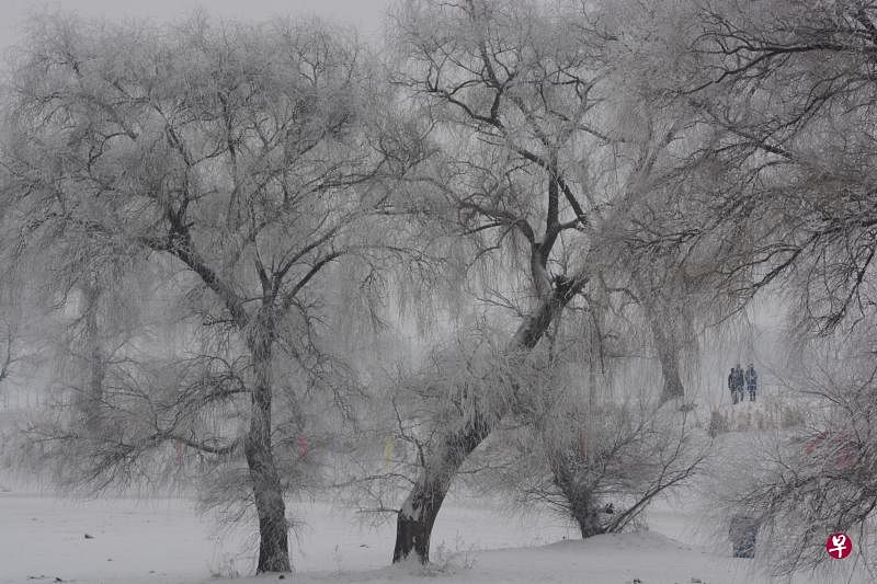 荒郊雪林仍有故人来。