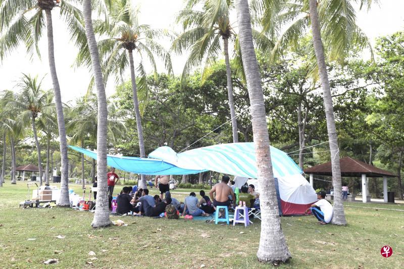 东海岸公园上周末有不少人群聚集，公园局将暂停发出烧烤和露营等活动的准证，直到4月30日。（陈来福摄）