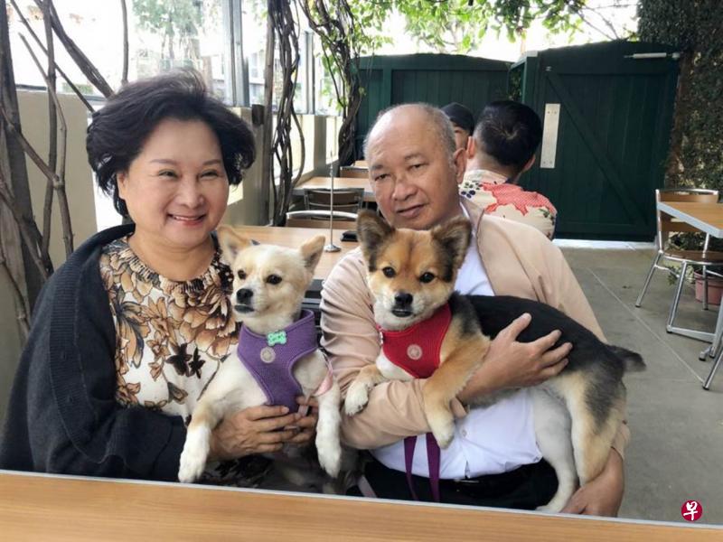 开刀前，吴宇森夫妇将两只爱犬送到宠物旅馆。（互联网）