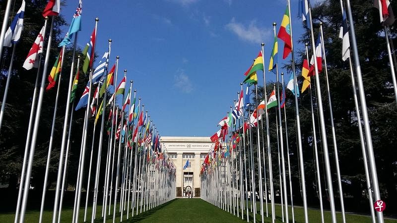 联合国专门机构最大的权威来自其专业领域的知识、科学、技术权威。政治被默认为是负面因素，会扭曲科学知识因素，导致这些国际组织的无效性。（图/Pixabay）