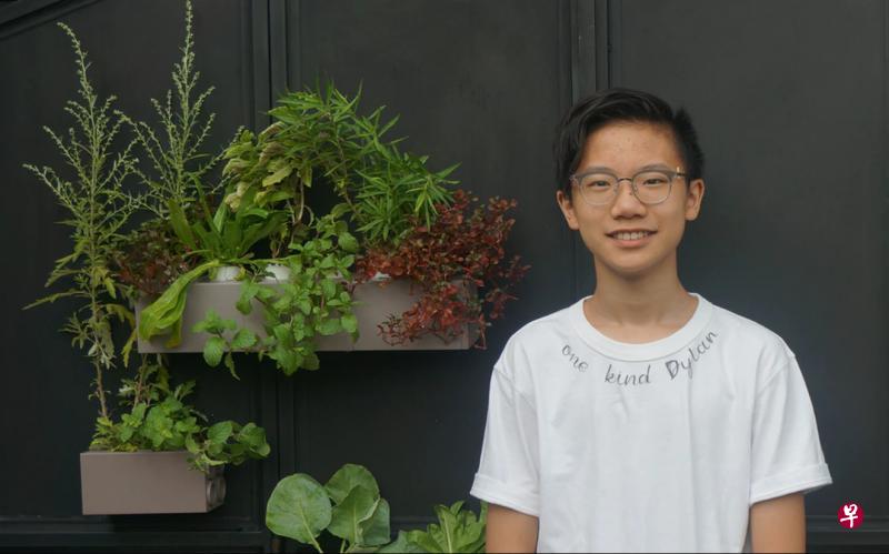 17岁的苏骏一（左图）是水耕系统“独树菜盆”设计师之一。“独树菜盆”从乐高砖块获得灵感，可放置在居家环境各处。