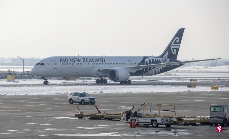 为控制入境旅客人数，新西兰航空将暂停订票服务三周。（路透社） 