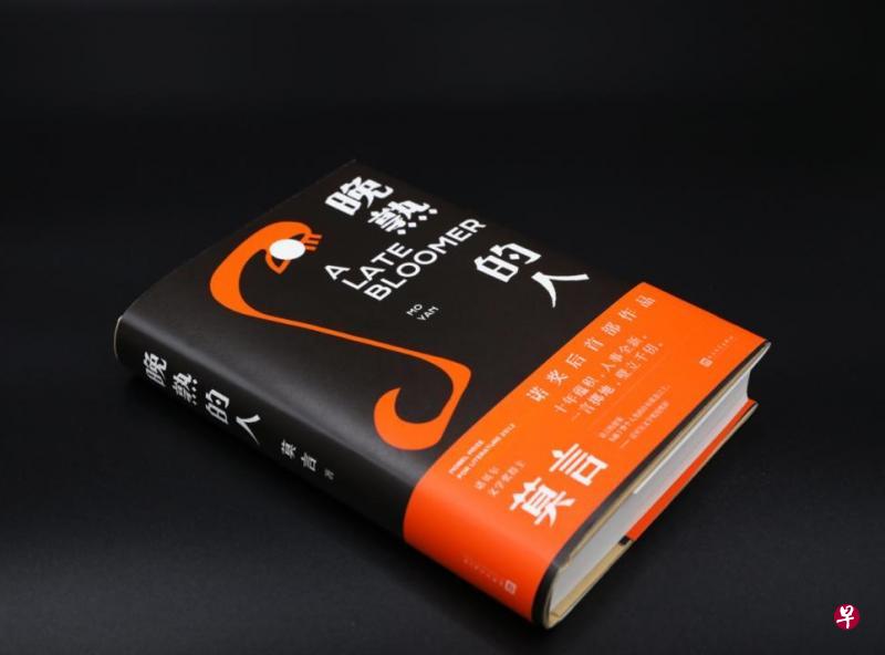 《晚熟的人》是一部好读、可读的小说集，小说家的叙事风格少了过往作品的那点飞扬，却多了平实与幽默。（互联网）
