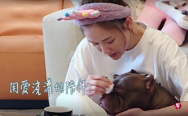 《我要这样生活》陈乔恩的爱犬吸睛。（互联网）