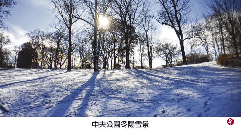 纽约中央公园冬阳雪景。