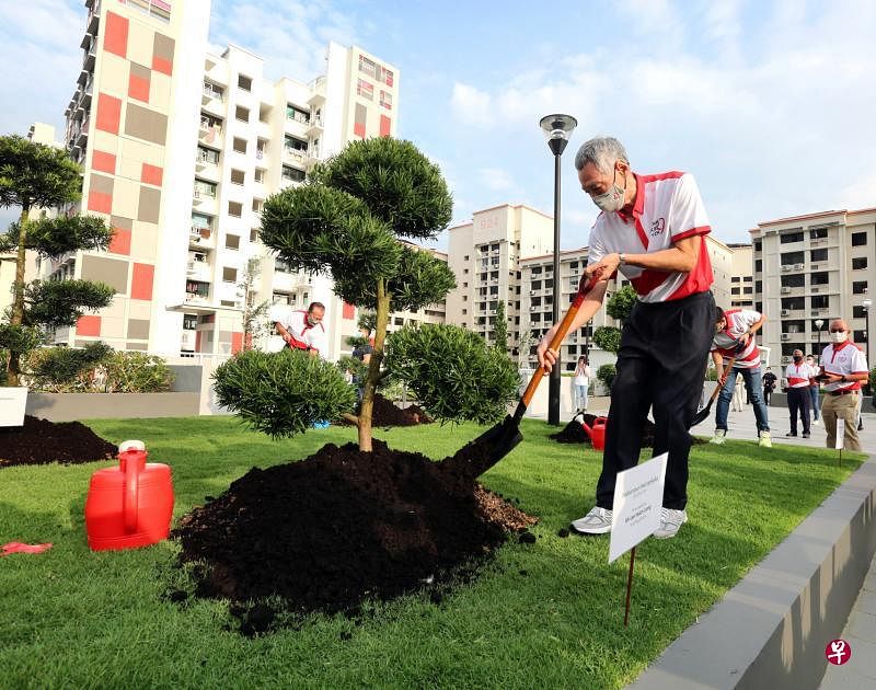 身为宏茂桥集选区议员的李显龙总理在活动上植下两棵罗汉松。（庄耿闻摄）